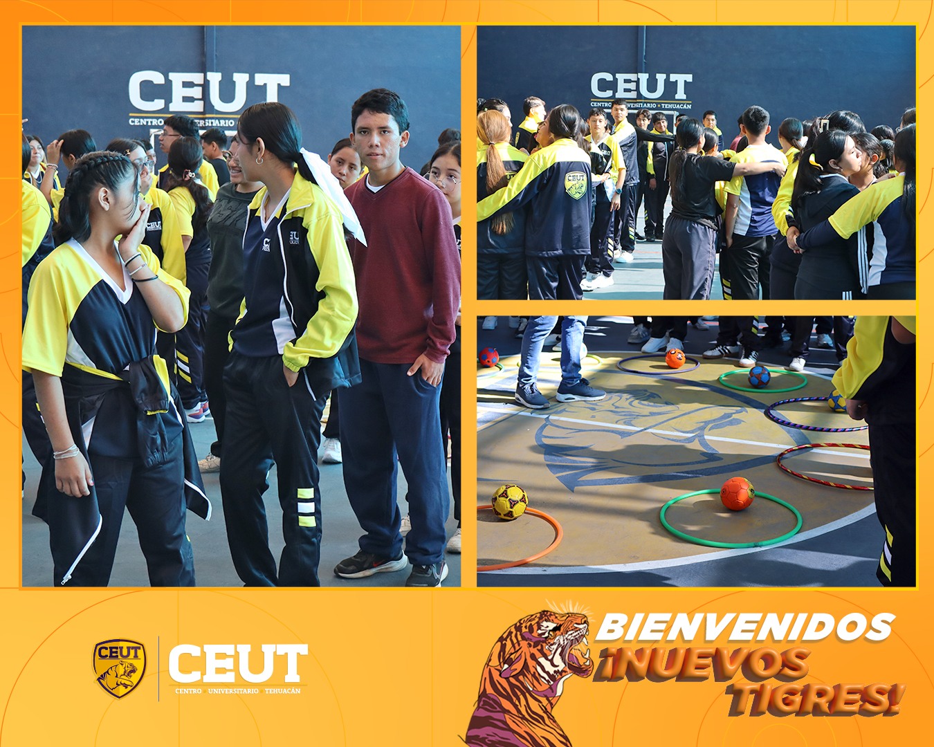 Nuevos Tigres Prepa